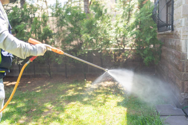 Best Pest Inspection Near Me  in Kearny, NJ