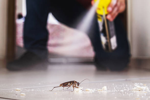 Professional Pest Control in Kearny, NJ